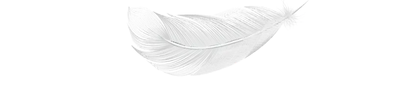 inlay_824x199_Feather small